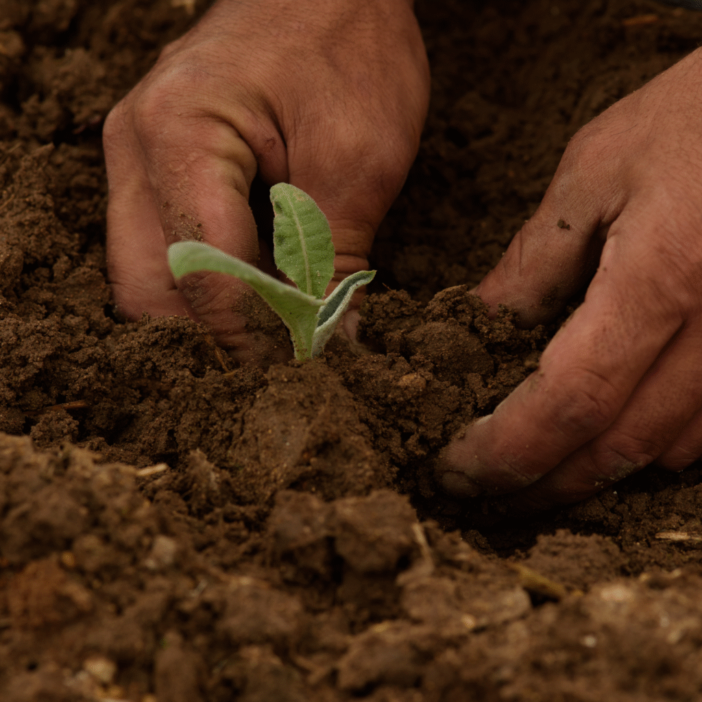 Organic Farming 1024x1024